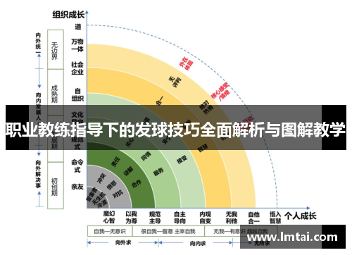 职业教练指导下的发球技巧全面解析与图解教学